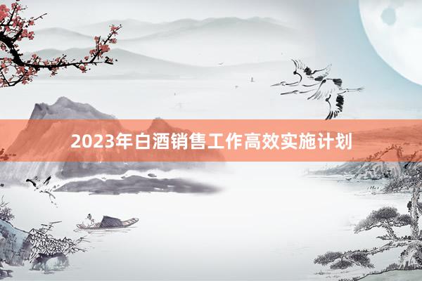 2023年白酒销售工作高效实施计划